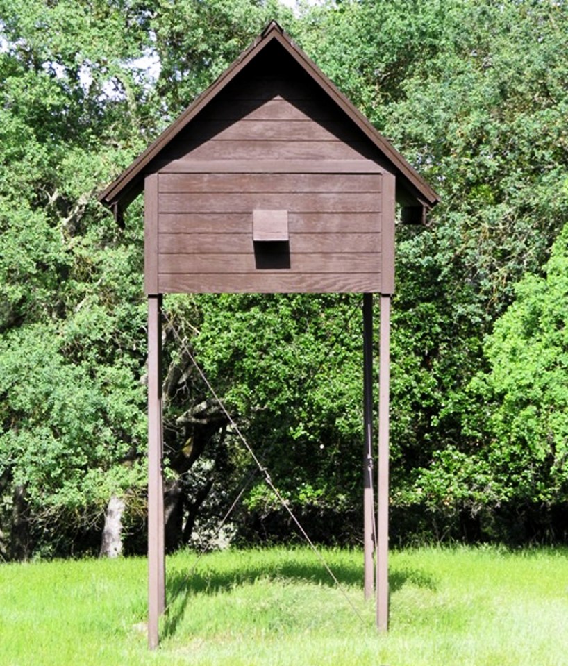 The Beckhams want to build a 'bat hotel' at their country pile