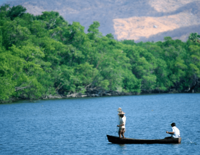 The Manialtepec Lagoon in Mexico is popular with tourists