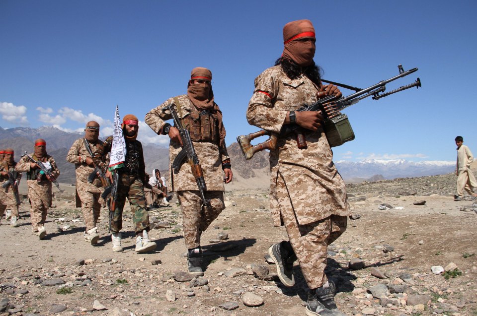 The militants have seized large parts of Afghanistan