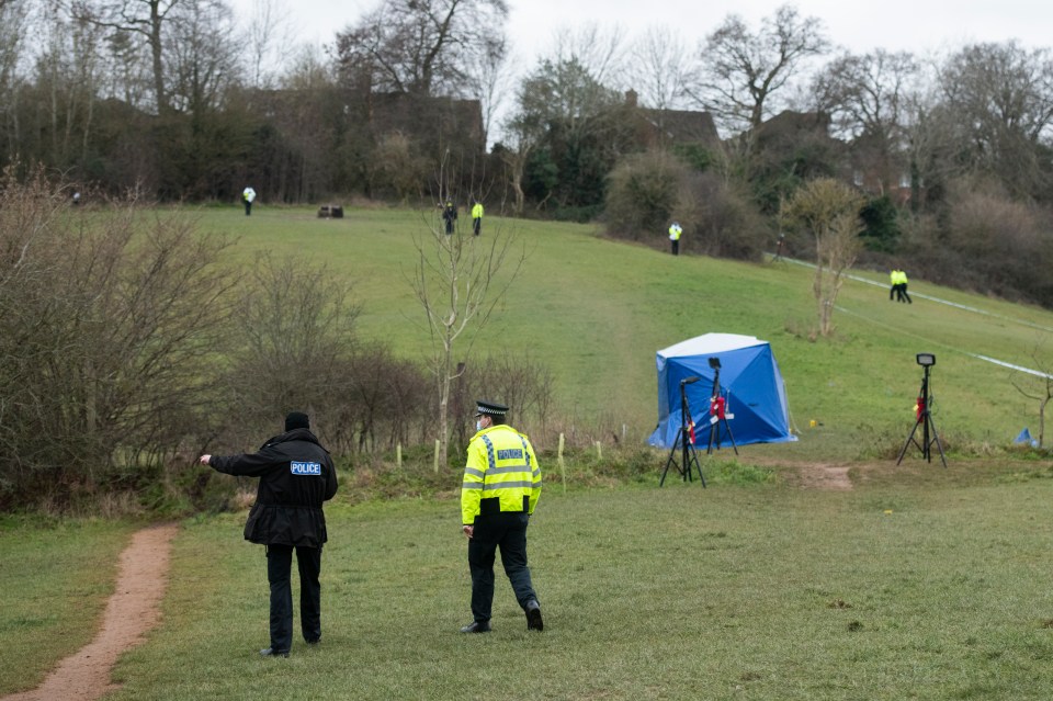 The boy pulled out a knife because he thought the older boy 'was going to get stabbed'