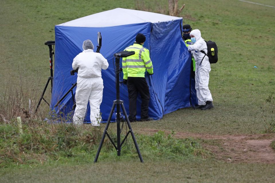 A girl and the older boy, who cannot be named, have both admitted manslaughter