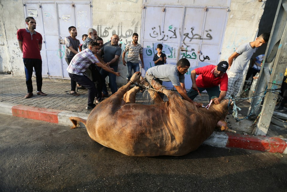 During Eid Al-Adha worshippers sacrifice sheep and cows