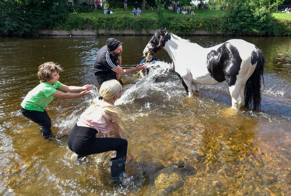 Families from around the British Isles have made their way to Appleby