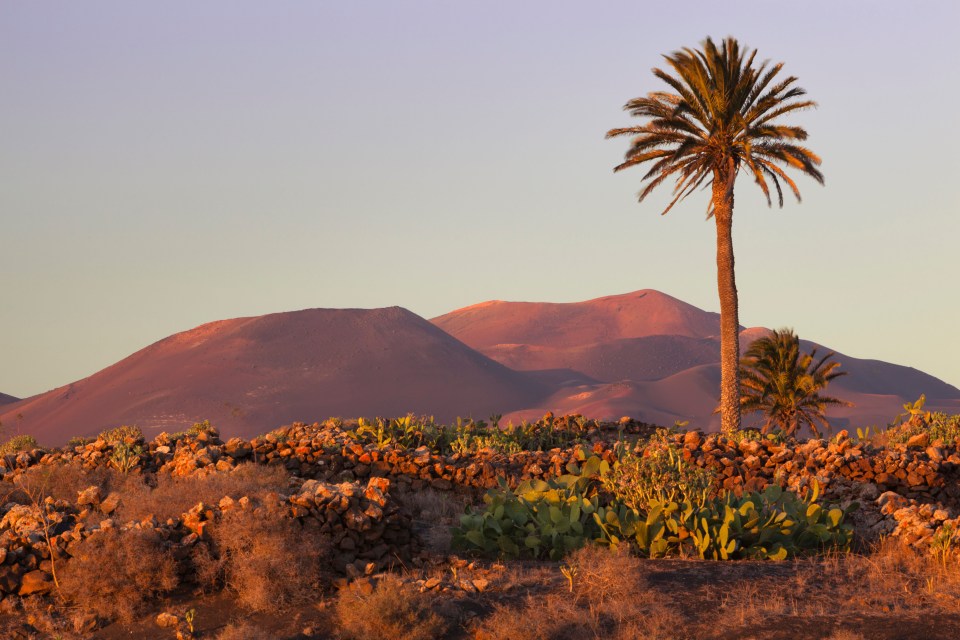 Explore the Canary Islands for less
