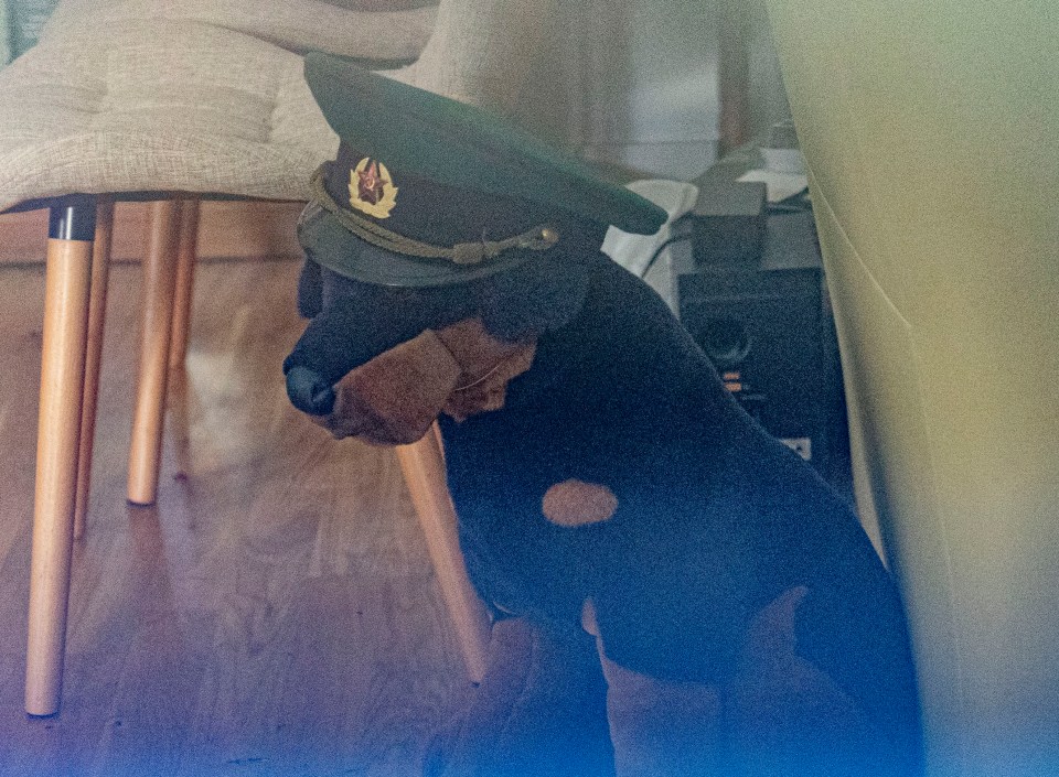 A stuffed toy dog wears a Russian military hat with the Soviet symbol on its peak