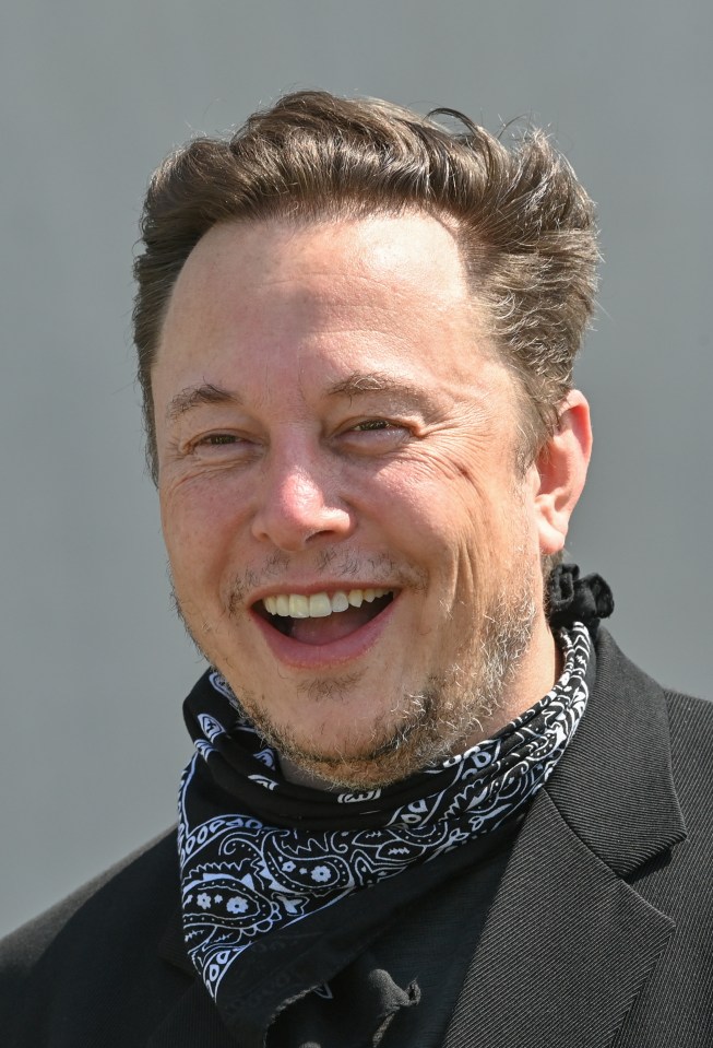 Tesla boss Elon Musk announced the event last week