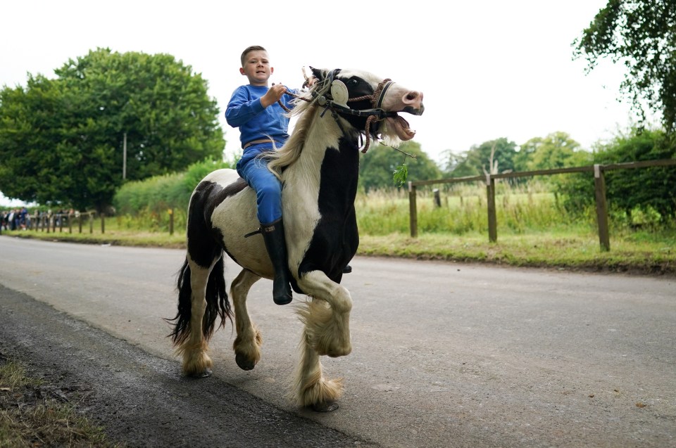 A young boy rides his horse on the first day of the fair