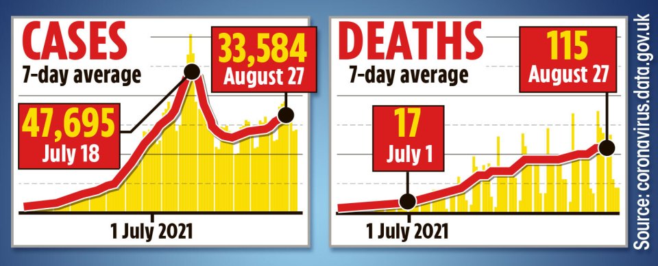 August 27 7-day rolling average cases and deaths