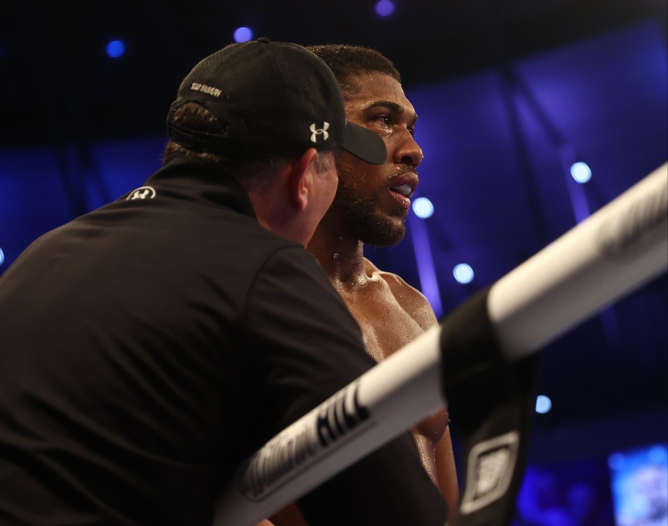 Rob McCracken insists Anthony Joshua does NOT need to go back to the drawing board