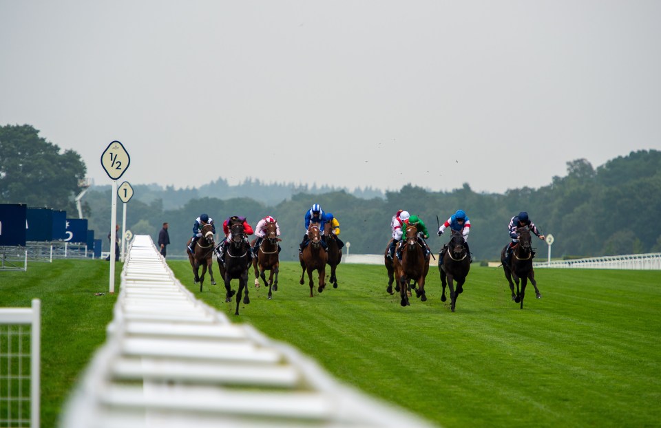 Racing takes place at Newmarket on Saturday