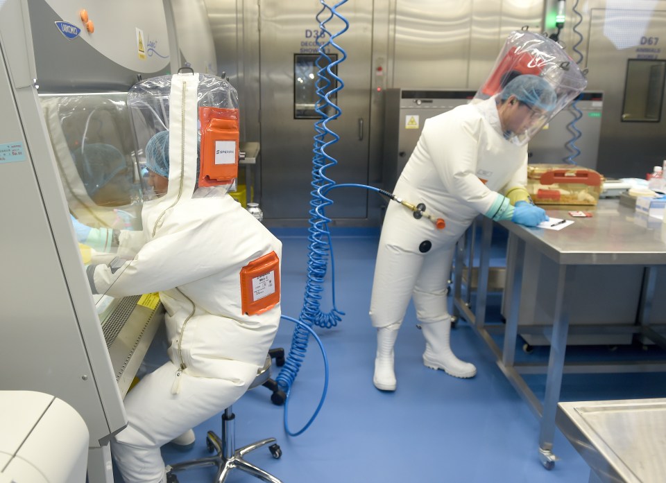 The theory that the pandemic was caused by a lab leak in Wuhan has become increasingly mainstream