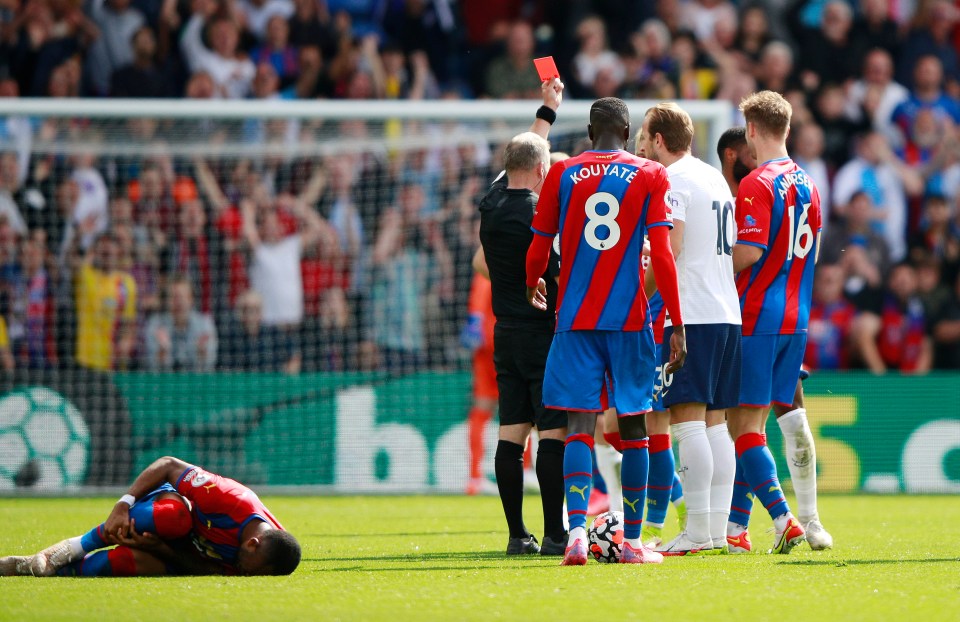 It was a dismal afternoon for Spurs as the Palace fans celebrated