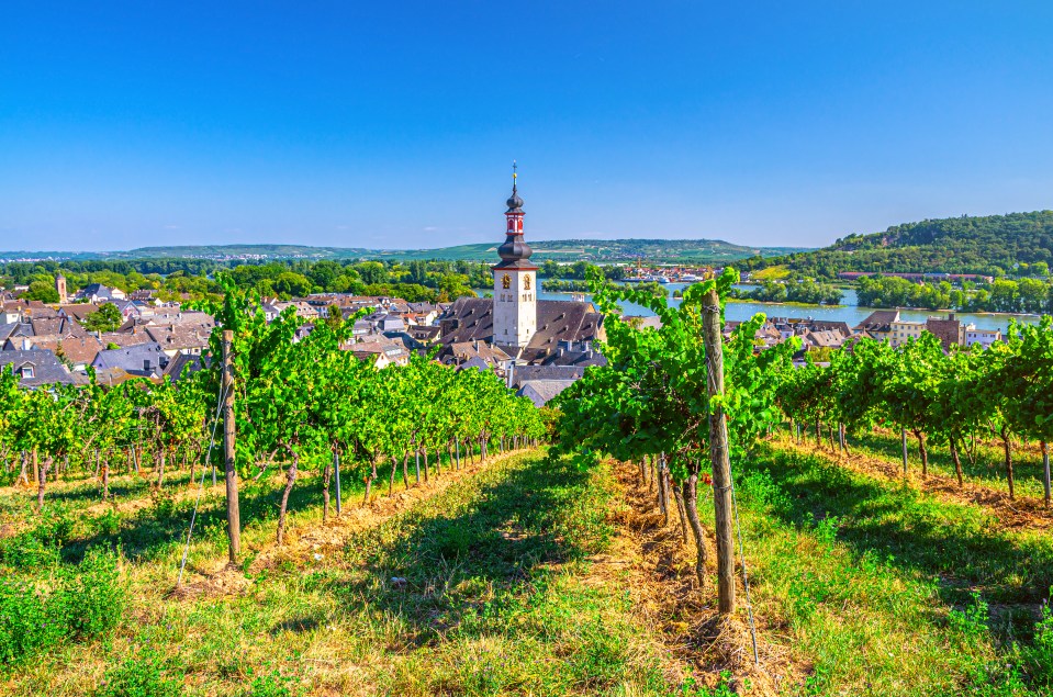 This pretty spot is famous for its Riesling wines