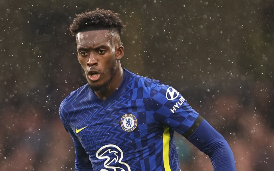 Callum Hudson-Odoi's international future is yet to be decided
