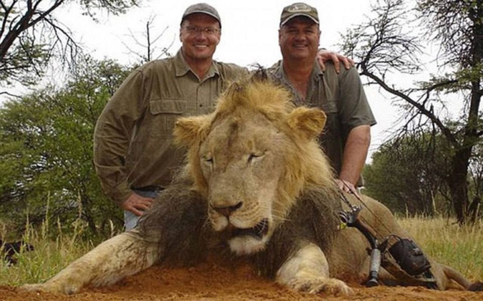Walter Palmer killed 13-year-old Cecil the lion in 2015 in Zimbabwe