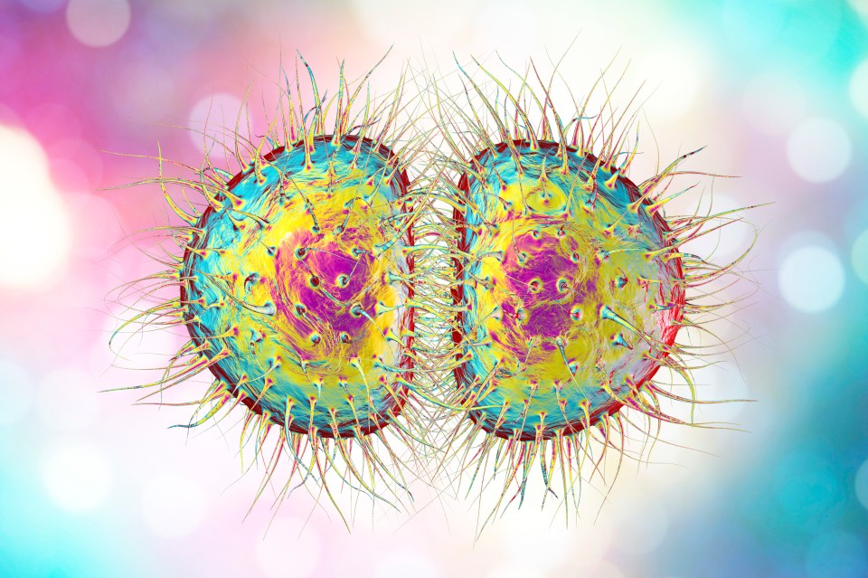 New research suggests that the UK is the gonorrhoea capital of Europe