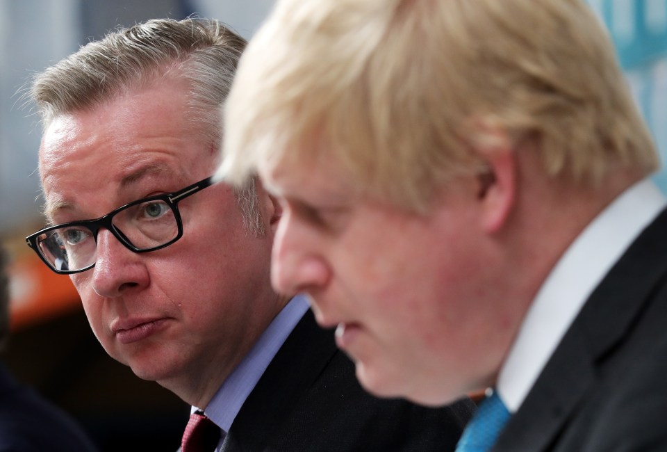 Gove has hailed Boris as a 'great boss'