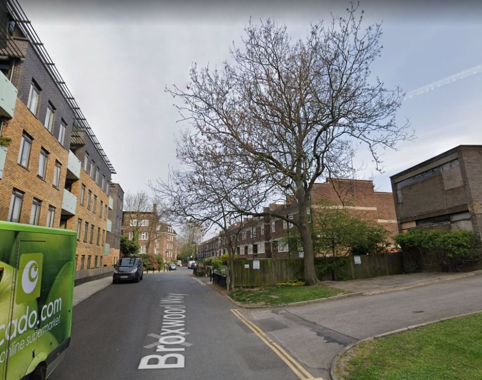 The woman in her 30s was stabbed in a flat in Primrose Hill in London