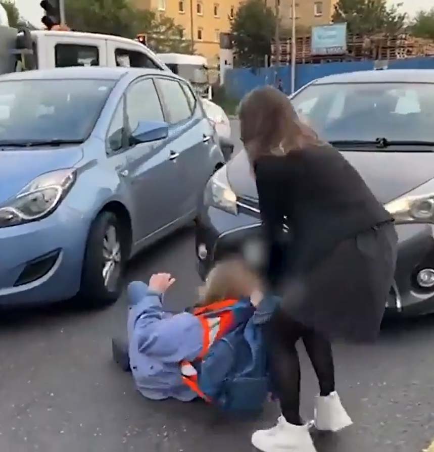 One woman dragged a campaigner off the carriageway