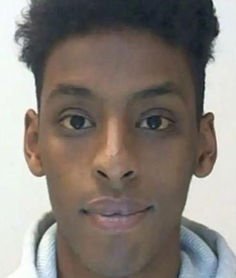 Yasin Byn, another of Sweden's most successful rappers, were given prison terms for their role in the kidnapping