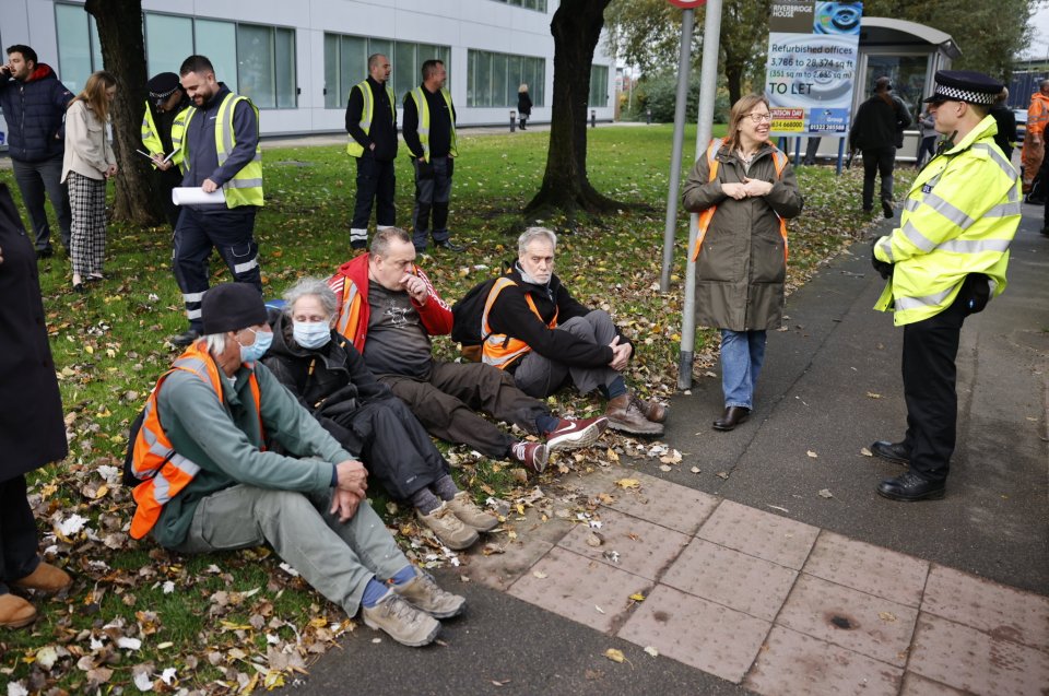 Police swept in to get demonstrators off the road close  to the M25 Dartford Crossing