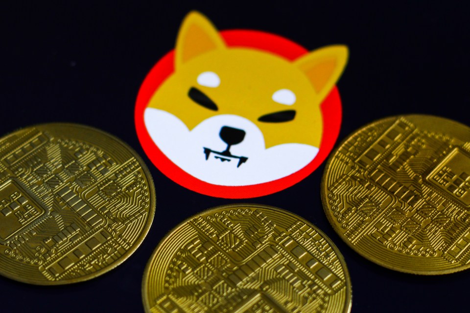 Shiba coin has skyrocketed in value over the past few weeks