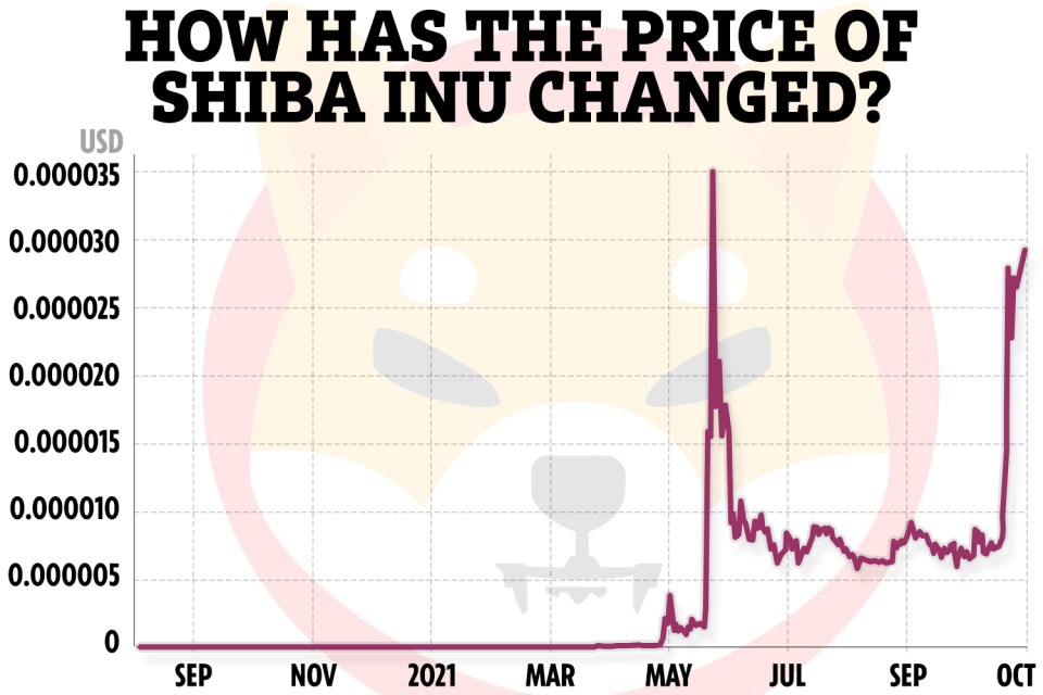 The price of the Shibu Inu coin has risen