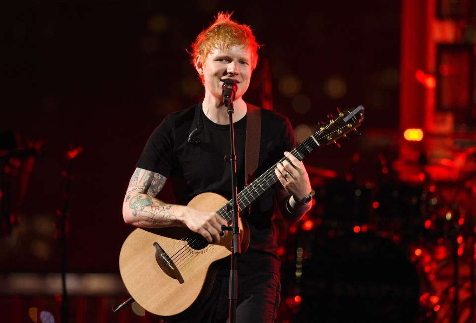 Ed Sheeran surprised the youngster who squealed in delight when she met him