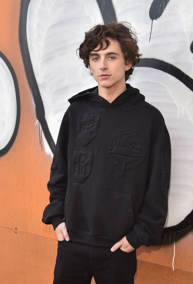 Timothée will play Wonka in a prequel film about his life before owning his famous chocolate factory