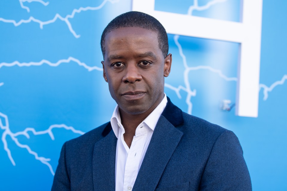 Adrian Lester as Joel Nutkins