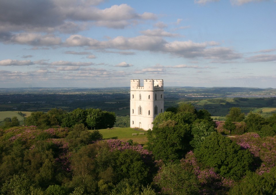 Haldon Belvedere sleeps two and costs from £525 per week