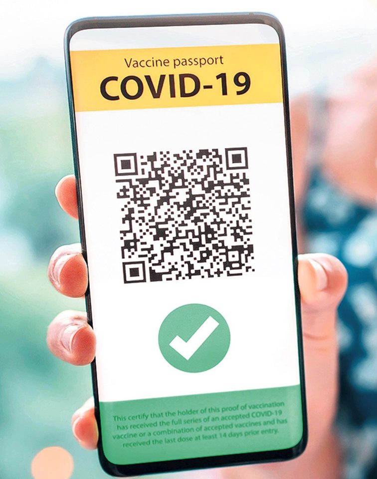 A fake pass that scammers are using to target millions