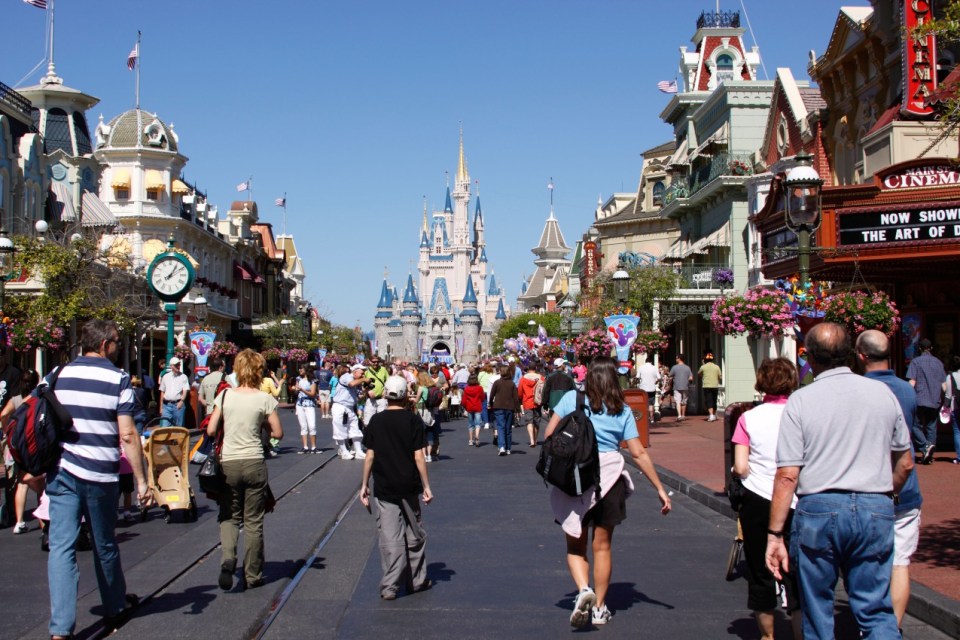 A Disney fan has shared a secret spot which offers people space away from the crowds