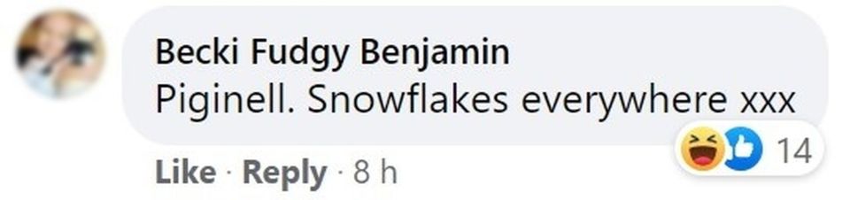 And another said those complaining were 'snowflakes'