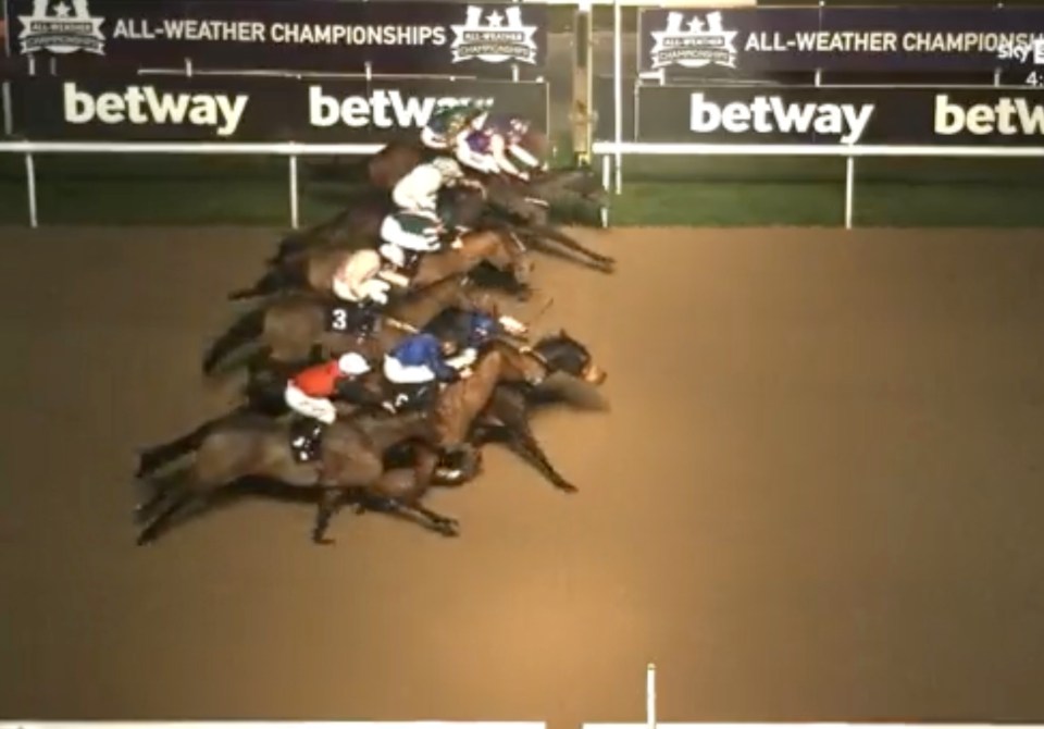 Diamond Jill (top) was awarded the win by mere millimetres