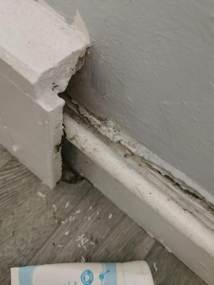 She fears the mould-covered property is a "death trap waiting to happen"