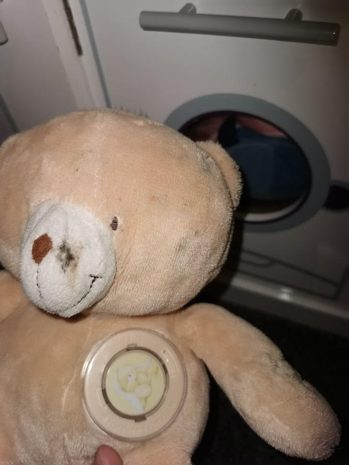 Kids toys became covered in mould and had to be thrown away