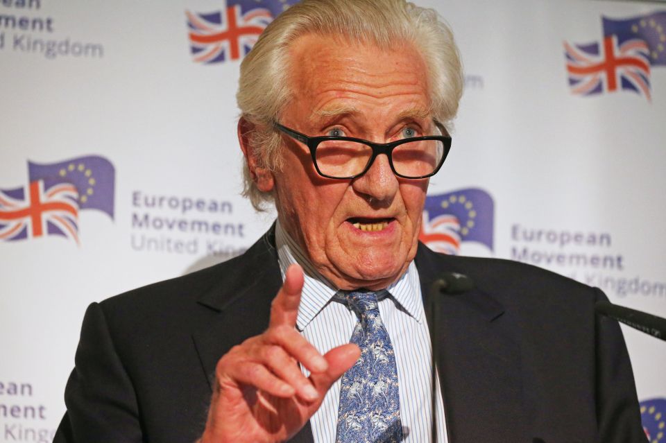 Lord Michael Heseltine, ex-deputy PM, warned if the PM is forced to quit it could throw Brexit 'up in the air'