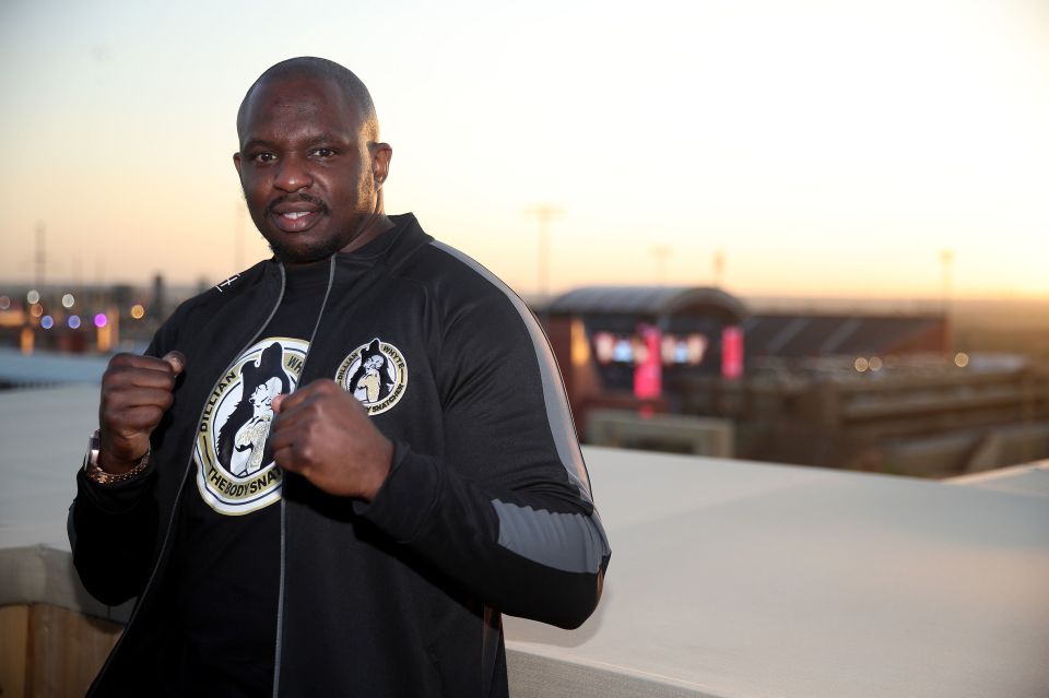 The Brit has earned a shot at heavyweight glory