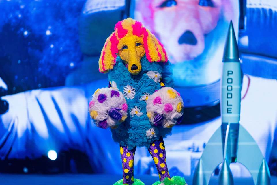 The Masked Singer fans are convinced Poodle is a boyband member