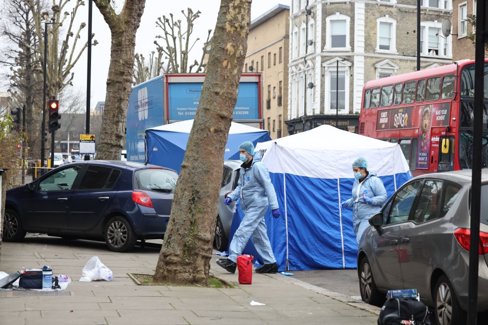 Officers have released the driver on bail after arresting him on suspicion of murder
