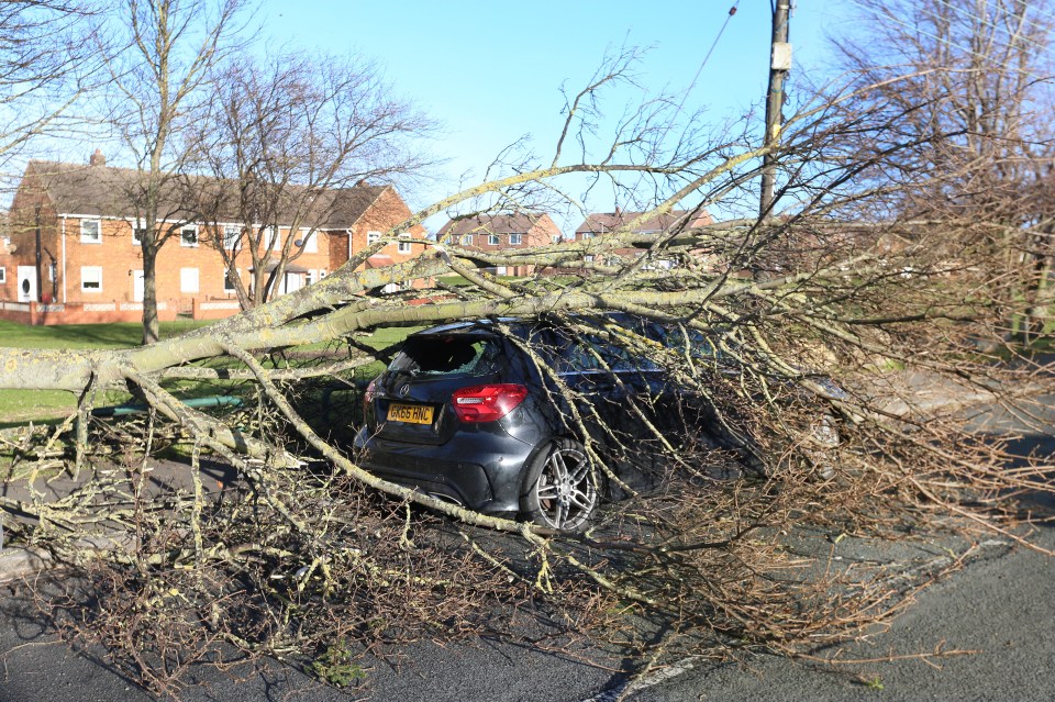 A fallen tree on top of a car in West Rainton, near Durham