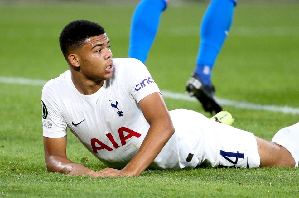 Teenage forward Dane Scarlett has worn the No44 for Tottenham this season