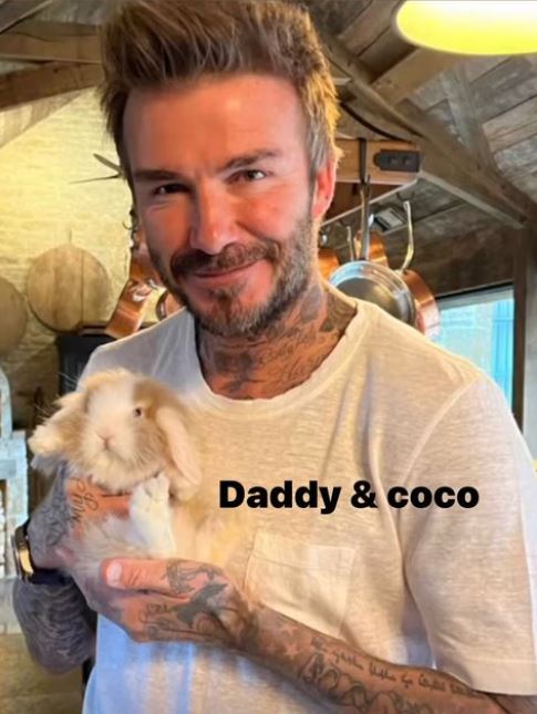 The Inter Miami FC owner posed with the sweet new addition