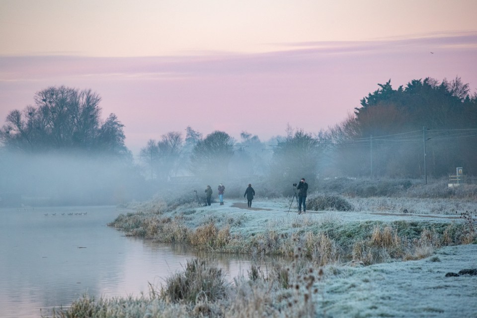 And clear skies for morning walkers