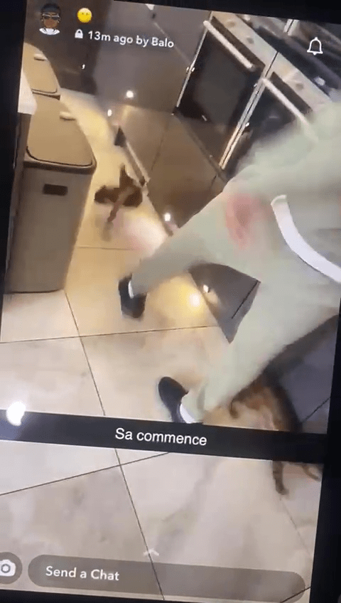 The RSPCA confirmed it is investigating the disturbing footage