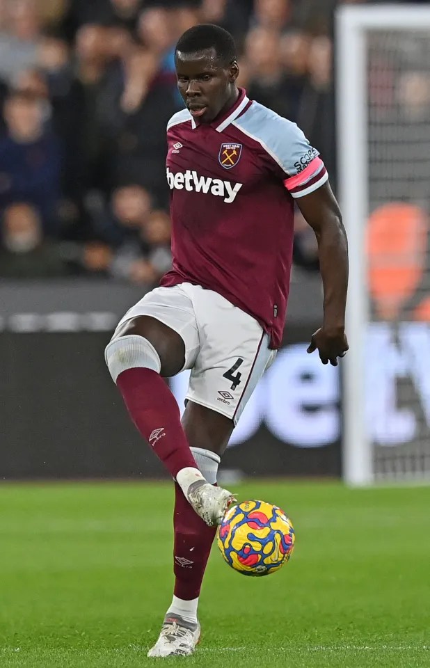 Kurt Zouma should volunteer with abused animals after sick cat-kicking video, says David Seaman