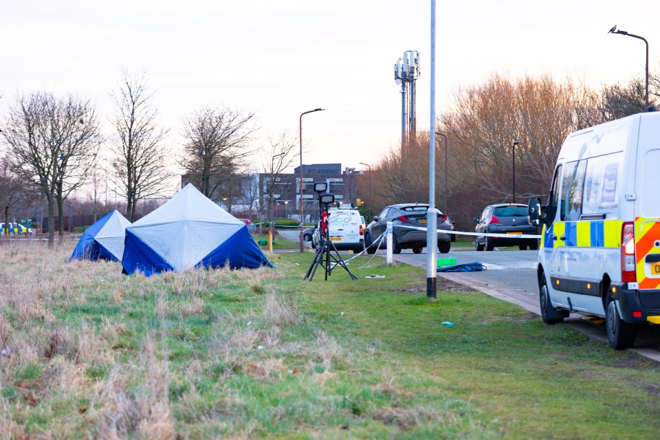 Police are combing the scene for evidnece