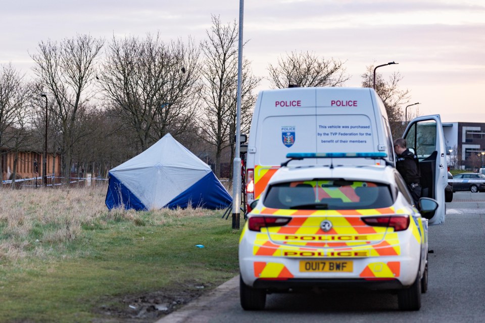 Cops arrested an 18-year-old on suspicion of murder