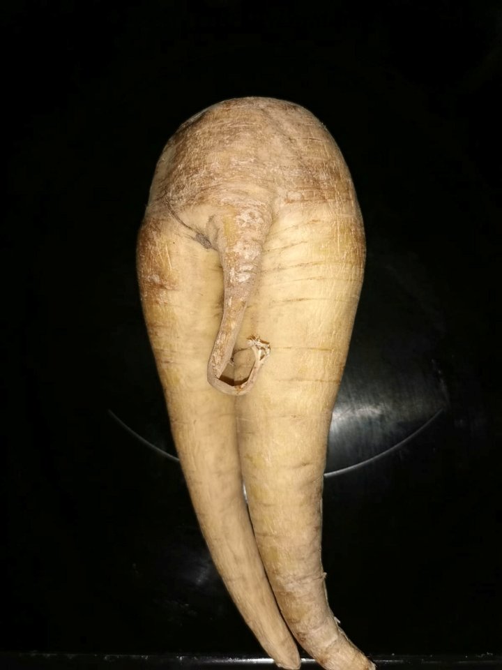 Matthew and Amy Whittaker said it's the second time they've received an unusually-shaped vegetable from their local superstore in two years
